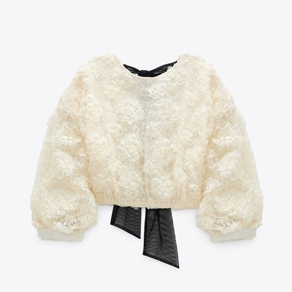 Zara Tops - NWT Zara Organza Lace Shirt